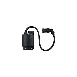 CENTRALINA ELETTRONICA CDI  per PIAGGIO FLY 4T - APRILIA Scarabeo 100 4T