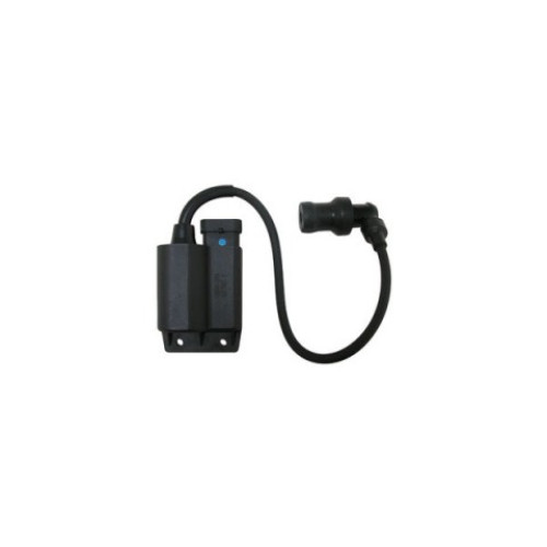 CENTRALINA ELETTRONICA CDI  per PIAGGIO FLY 4T - APRILIA Scarabeo 100 4T