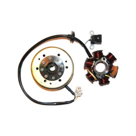 Volano kokusan completo 6 poli per motori PEUGEOT 50 2T JET FORCE 50 C-TECH (10/13) - LUDIX 50 10/14 (10/13) - JET FORCE C-TECH R-CUP/ICE BLADE/DARK SIDE (10/13) - 50 VIVACITY 3L 2T (10/13) - 50 LUDIX PRO 2T (09/11) - 50 SPEED FIGHT 3 AIR/RS/N 2T (09/10)