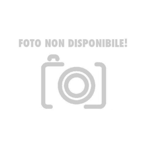 BOBINA ELETTRICA CDI / TRASDUTTORE ELETTRONICOP 2 FASTON per 50 DERBI - MALAGUTI - RIZZATO - SUZUKI