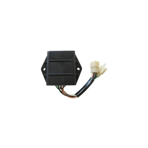 CENTRALINA ELETTRONICA TCI - 12V - c.c. PER SUZUKI GS 500 89/01