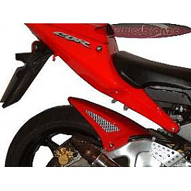 Parafango Posteriore in ABS Colore Nero Naturale Senza Paracatena per HONDA CBR 954 RR (2002/2004)