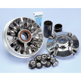 VARIATORE POLINI HI-SPEED 12 RULLI per PEUGEOT METROPOLIS 400i - rulli 25X11 - gr.7,3 e 8,3 -