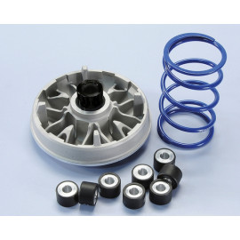 VARIATORE POLINI MAXI HI SPEED 8 RULLI PER PIAGGIO BEVERLY 350 - rulli 25x16 gr. 12 -