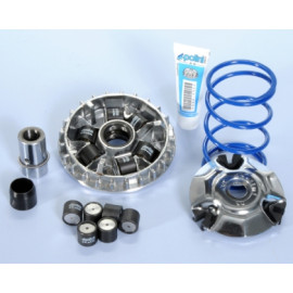 Variatore POLINI MAXI HI-SPEED 6 RULLI per PIAGGIO 125/150 4STR LEADER ENGINE - rulli 19X17 da 10 gr. e 13,5 gr. -