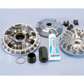 VARIATORE POLINI HI-SPEED 6 RULLI per PIAGGIO VESPA 125 PRIMAVERA 4T 3V - rulli 19x17 da 12 gr. -