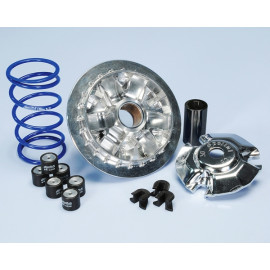 VARIATORE POLINI MAXI HI SPEED 6 RULLI PER YAMAHA N-MAX 125-155 - rulli 19x17 da 10,0 gr.