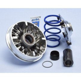 VARIATORE POLINI HI-SPEED HONDA SH 350 (2021>) FORZA 350 (2021>) 12 RULLI
