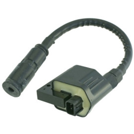 Bobina elettrica Kymco Dink EU3 200 (2006-2007)