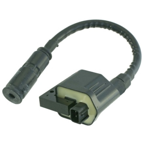 Bobina elettrica Kymco Dink EU3 200 (2006-2007)