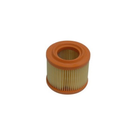 Filtro Aria Tipo Originale per MALAGUTI Madison R 125  - Madison T 150