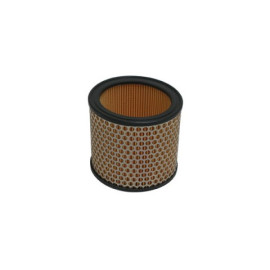 Filtro Aria Tipo Originale per APRILIA RSV 1000-SL FALCO