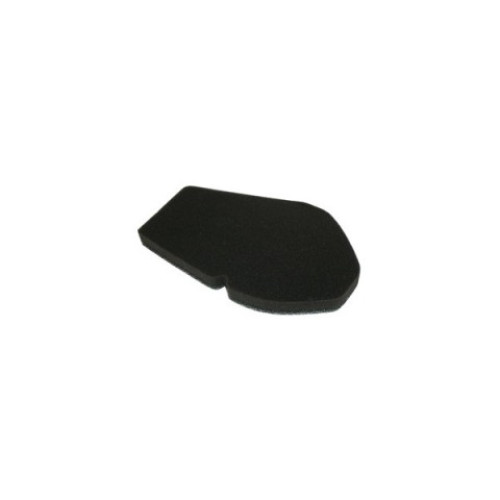 Filtro Aria Tipo Originale per SUZUKI BURGMAN 125/150