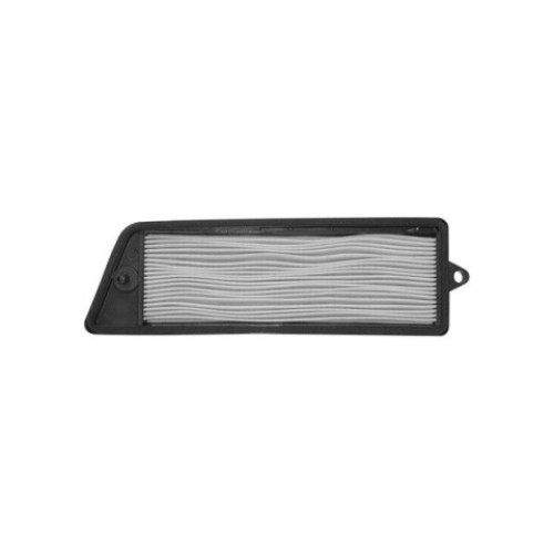 Filtro Aria Tipo Originale per SUZUKI AN 125/150
