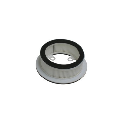 Filtro Aria Tipo Originale CARTER DX T-MAX 530 (2012-2018)