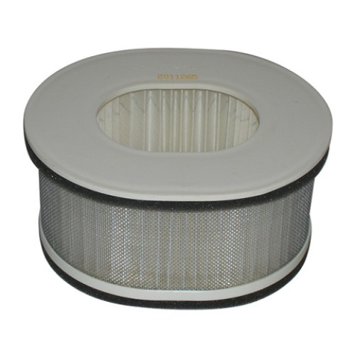 Filtro Aria Tipo Originale per YAMAHA 1000 FZS FAZER (2001-2005)