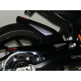 Parafango Posteriore in ABS Colore  NERO - RETINA ARGENTO per BMW F800R (09-14)