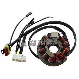 Statore completo 12 poli Ducati Energia per HM CRE 50 SIX (06/09) CRE DEPERAGE COMPETITION (06/09)