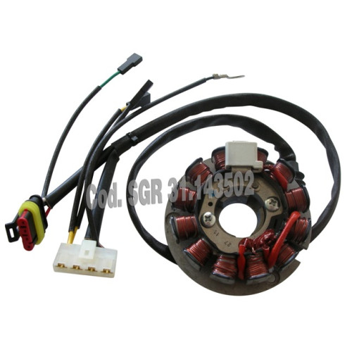 Statore completo 12 poli Ducati Energia per HM CRE 50 SIX (06/09) CRE DEPERAGE COMPETITION (06/09)