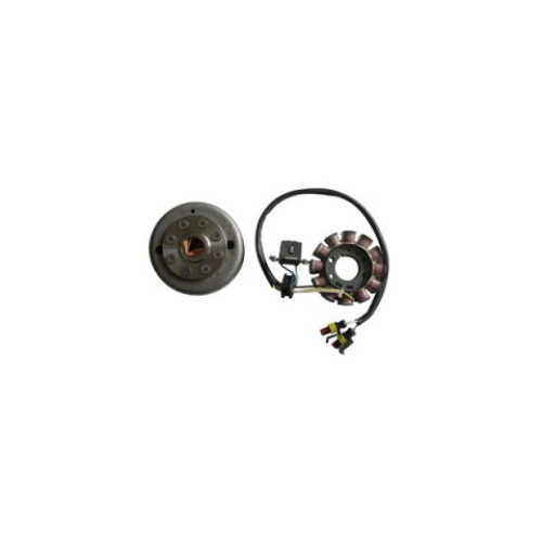 Volano completo Ducati Energia (DUCATI 31146020) per HUSQVARNA TE 250/450/510 EURO 3 (07) SM 250R/450R/510R EURO3 (07)