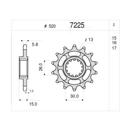 PIGNONE IN ACCIAIO CEMENTATO DID 16 DENTI per BMW S 1000 RR / ABS / HP4 (2009-2013) PIGNONE ALLEGGERITO PASSO 525