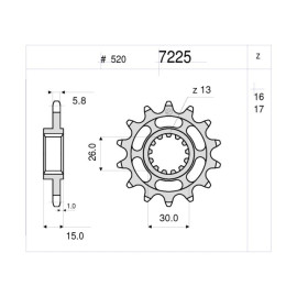 Kit GP Racing DID Passo 520, Pignone 17, Corona 45 Denti, CATENA DID 520 ERV3 G&G 118 MAGLIE per BMW S 1000 RR (2012-2014)