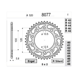 Kit GP Racing DID Passo 520, Pignone 17, Corona 42 Denti, CATENA DID 520-ERV3 G&G 108 MAGLIE per APRILIA RSV 1000 (1998-1999) - RSV 1000 - R (2000-2002) - RSV 1000 SP (1999-2000) - RSV 1000 TUONO - FIGHTER - R (2002-2005) - RSV 1000 TUONO Racing 