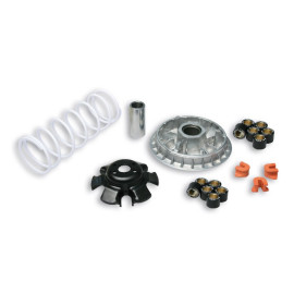 Variatore MULTIVAR 2000 per KAWASAKI J 300 ie 4T LC euro 4 2018-> (WS60B)