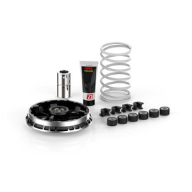 Variatore multivar 2000 per BMW C 400 X - C GT  400 (2019->)
