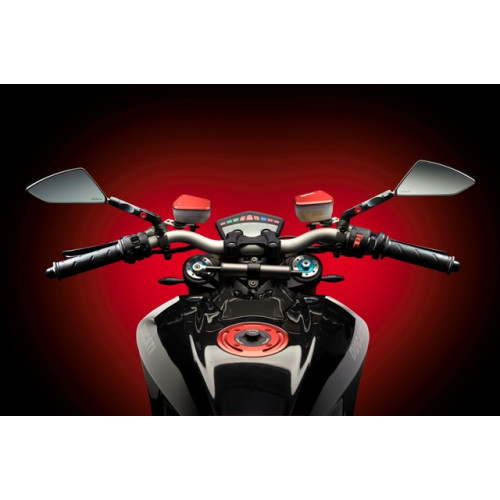 Coperchio Pompa FRENO ANTERIORE in Ergal LIGHTECH per MV AUGUSTA F4 (2000/2009) - BRUTALE (2005/2013) - RIVALE (2012-2015)