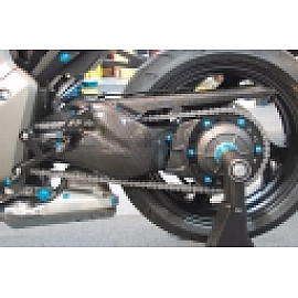Protezione Forcellone in Carbonio LIGHTECH per HONDA CB 1000 R (2008/2015)