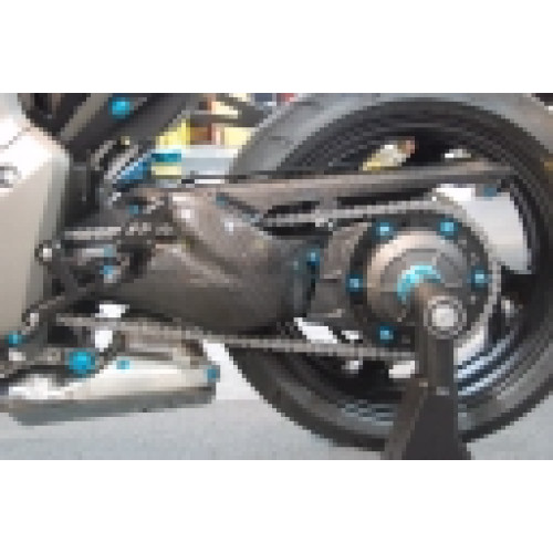 Protezione Forcellone in Carbonio LIGHTECH per HONDA CB 1000 R (2008/2015)