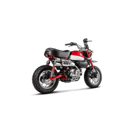 COLLETTORE IN INOX AKRAPOVIC NON OMOLOGATO HONDA MONKEY 125 (2019>)