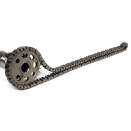 Catena di Distribuzione