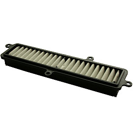 Filtro Aria Tipo Originale SUZUKI BURMAN 125/200 (2007-2014)