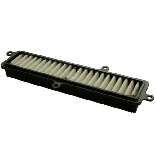 Filtro Aria Tipo Originale SUZUKI BURMAN 125/200 (2007-2014)