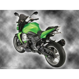 Parafango Posteriore colore CARBON LOOK-SILVER MESH per KAWASAKI Z750S (04-07) / Z750 (07-11) - NO COPRICATENA -