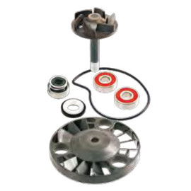 Kit Revisione Pompa Acqua Motore RMS per GILERA DNA 125 / 180 (2001/>) - RUNNER 125 / 180 VX / VXR (2000/2004)