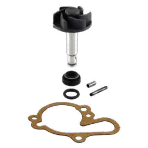 Kit Revisione Pompa Acqua Motore RMS per MOTORI 50 MINARELLI AM6 - AM6EUI - AM345 - APRILIA - BETA - HM - HRD - PEUGEOT - RIEJU - YAMAHA