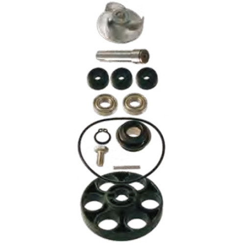 Kit Revisione Pompa Acqua Motore RMS per APRILIA SR 50 H2O Carb. / DITECH / E2 (2000/2004) - SR 50 R FACTORY DITECH (2005/2006)