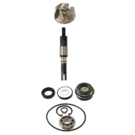 Kit Revisione Pompa Acqua Motore RMS per HONDA NES @ CHIOCCIOLA 125 / 150 (2000/2006) - SH 125 / 125i / 150 / 150i (2001/2012) PANTHEON 125/150 (2003-2006)