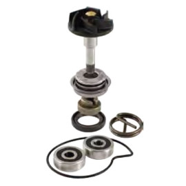 Kit Revisione Pompa Acqua Motore RMS per GILERA NEXUS 250 E3 / SP (2006/2007) - NEXUS 300 E3 (2008/2010)