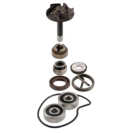 Kit Revisione Pompa Acqua Motore RMS per PIAGGIO BEVERLY 250 / RST (2004/2005)