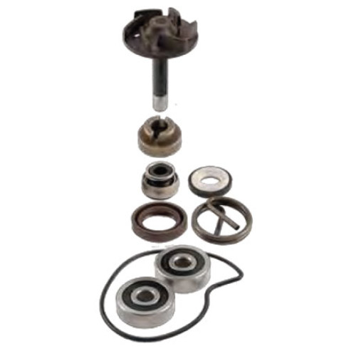 Kit Revisione Pompa Acqua Motore RMS per PIAGGIO BEVERLY 250 / RST (2004/2005)