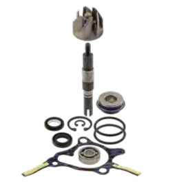 Kit Revisione Pompa Acqua Motore RMS per HONDA FES FORESIGHT 250 (1997-2005) JAZZ 250