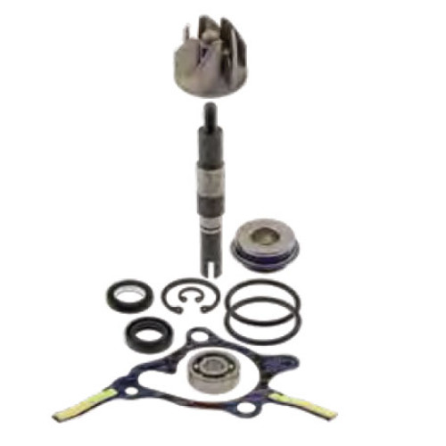 Kit Revisione Pompa Acqua Motore RMS per HONDA FES FORESIGHT 250 (1997-2005) JAZZ 250