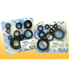 Serie paraoli Albero motore per SUZUKI  BURGMAN 250 (1998-2006) 9pz
