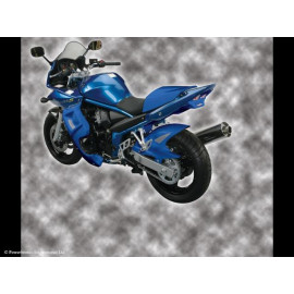 Parafango Posteriore Colore CARBON LOOK-SILVER MESH per SUZUKI GSF650 BANDIT (05-07) (NOT ABS)