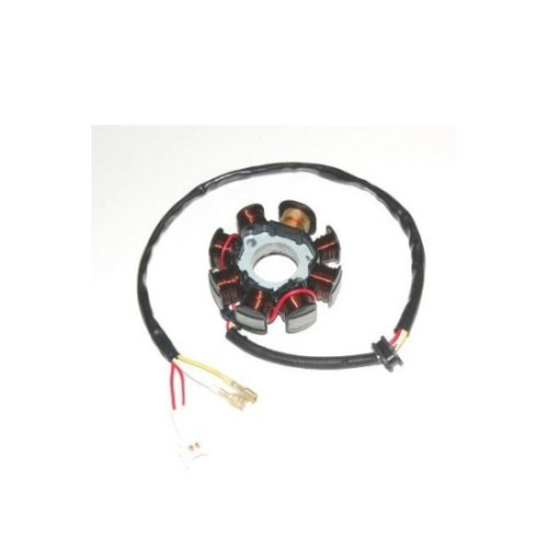 STATORE 8 BOBINE, CONNETTORE 2 FILI, 2 FASTON per KTM 250EXC-R (02/05) - 450EXC/MXC (03/05) - 520EXC (99/02) - 525EXC (03/06) - 525MXC (04/05)