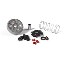 Variatore Malossi Multivar Omologato per APRILIA SCARABEO 50 2T
